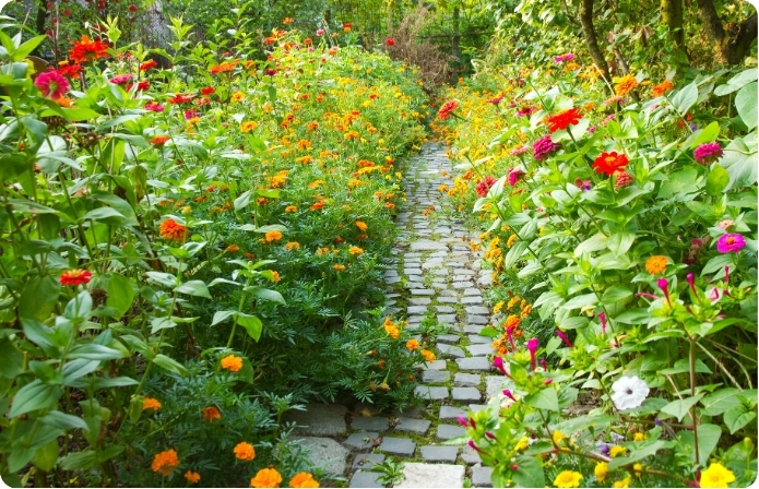 Picture of a garden